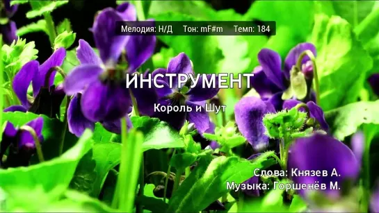 Король и Шут - Инструмент (караоке)