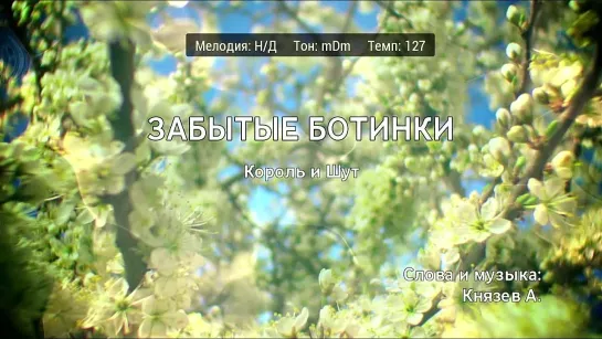 Король и Шут - Забытые Ботинки (караоке)