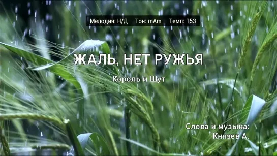 Король и Шут - Жаль, Нет Ружья (караоке)