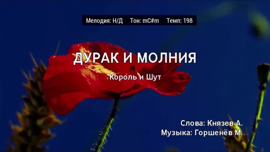 Король и Шут - Дурак И Молния (караоке)