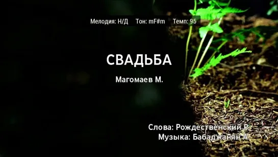 Муслим Магомаев - Свадьба 1 (караоке)