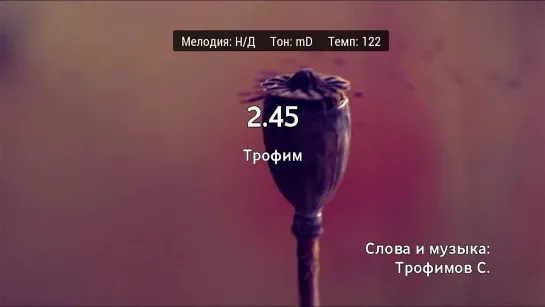 Трофим - 2.45 (караоке)