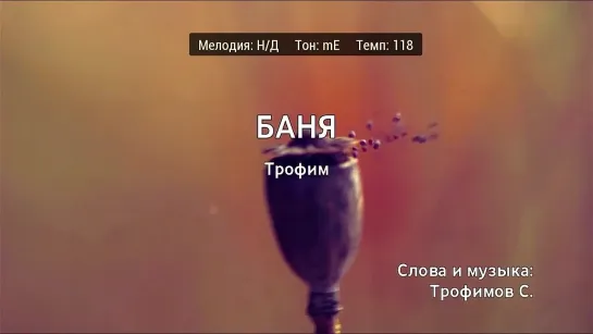 Трофим - Баня (караоке)