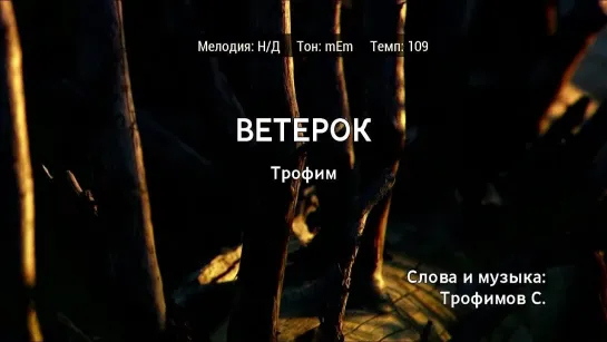 Трофим - Ветерок (караоке)