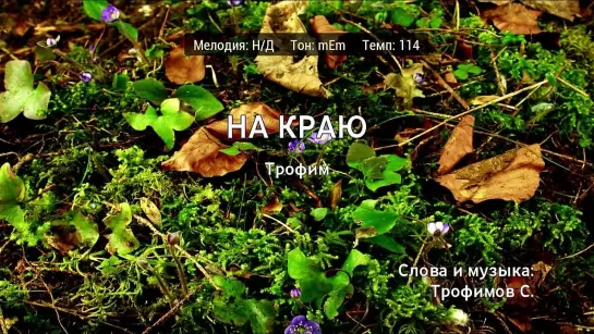 Трофим - На Краю (караоке)