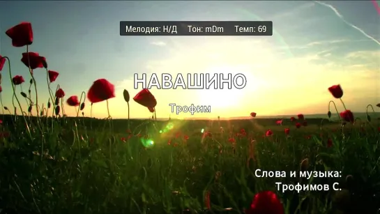 Трофим - Навашино (караоке)