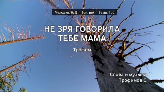 Трофим - Не Зря Говорила Тебе Мама (караоке)