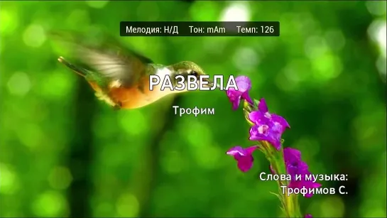 Трофим - Развела (караоке)