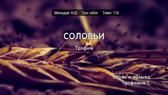 Трофим - Соловьи (караоке)