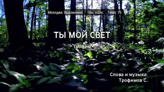 Трофим - Ты Мой Свет (караоке)