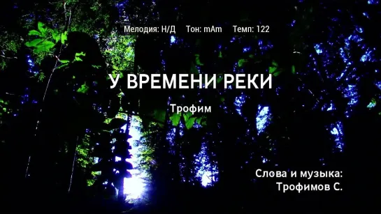 Трофим - У Времени Реки (караоке)