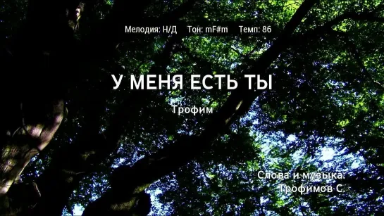 Трофим - У Меня Есть Ты (караоке)