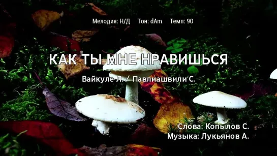 Лайма Вайкуле, Сосо Павлиашвили - Как Ты Мне Нравишься (караоке)