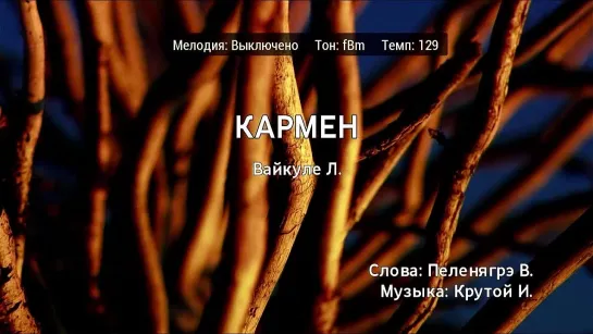 Лайма Вайкуле - Кармен (караоке)