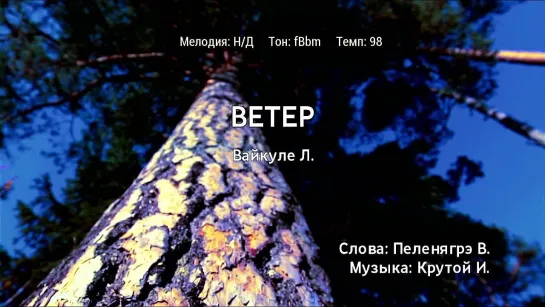 Лайма Вайкуле - Ветер (караоке)