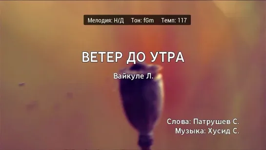 Лайма Вайкуле - Ветер До Утра (караоке)