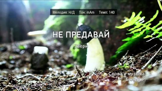 Звери - Не Предавай (караоке)