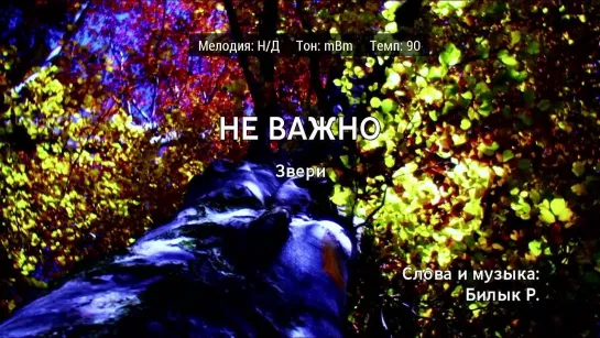 Звери - Не Важно (караоке)