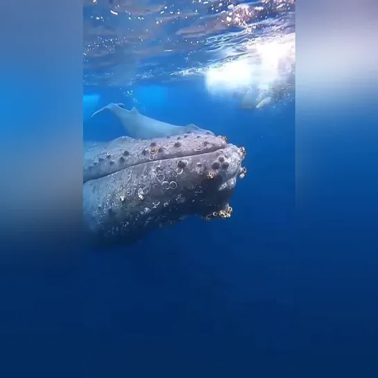 Скоро я, наконец, начну снимать под водой... © Юстас Алексу