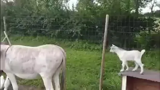 доброе утро всем, кто уже проснулся...