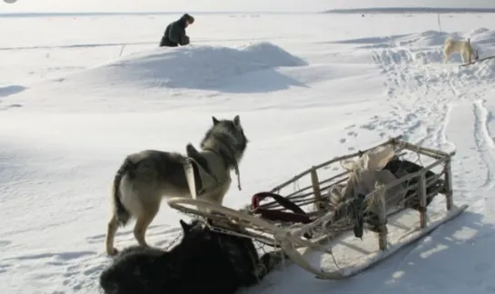 Счастливые люди: Год в тайге / Happy People. A Year in the Taiga - 2012