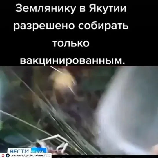 Видео от Екатерины Смирновой