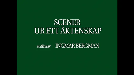 Сцены из супружеской жизни / Scenes from a Marriage (1974) dir. Ingmar Bergman [театральная версия] [1080p] (RUS SUB)