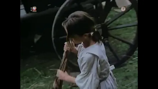 Zuzanka Hraškovie 1991 film