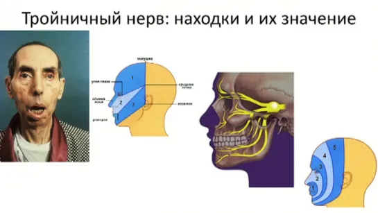 Методика неврологического осмотра. Часть 10