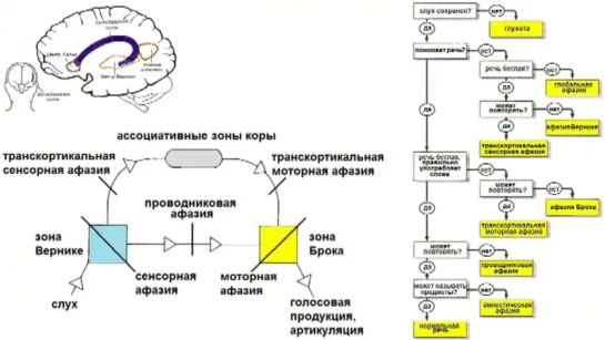 Методика неврологического осмотра. Часть 1