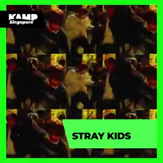 [191003] Stray Kids » twitter (@.Stray_Kids)