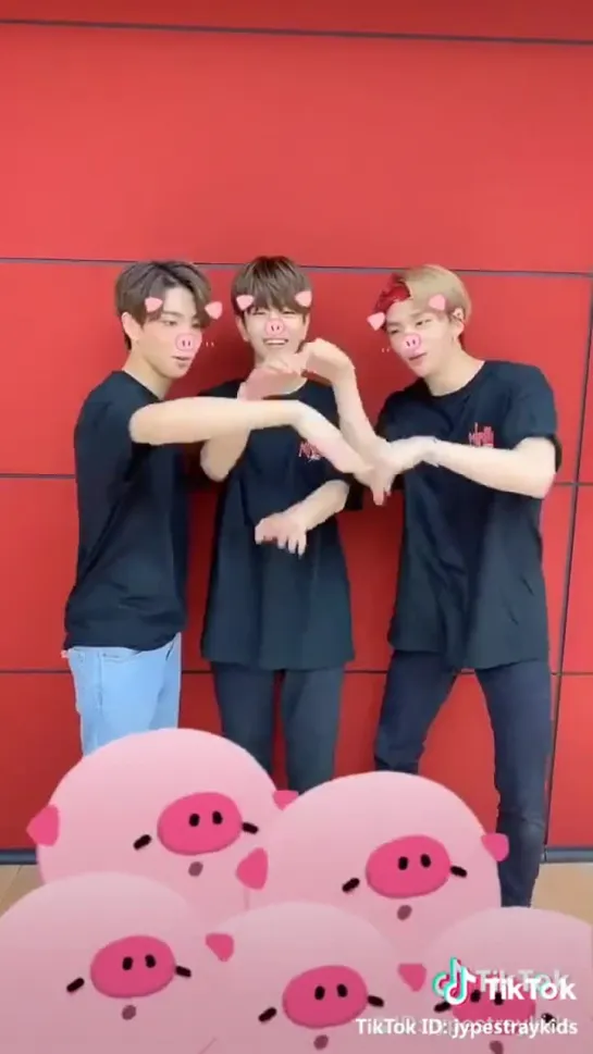 [190323] Stray Kids » TikTok (@.jypestraykids)