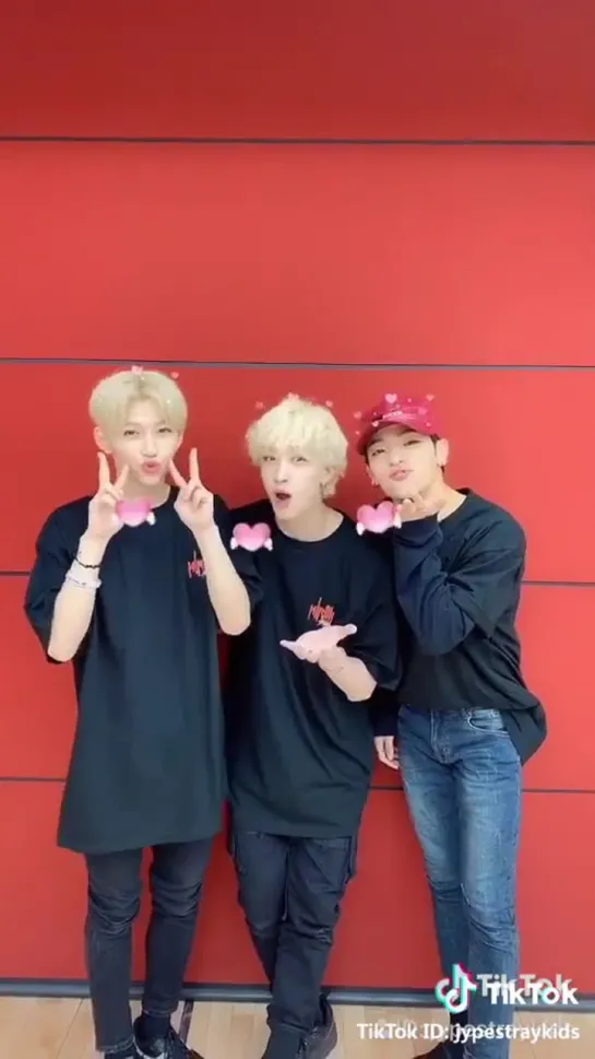 [190321] Stray Kids » TikTok (@.jypestraykids)