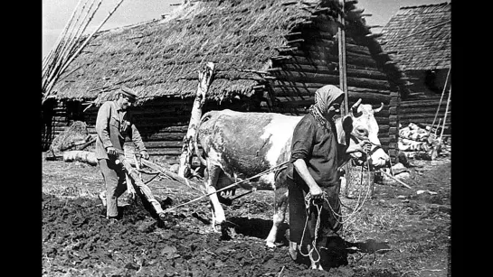 Великое Нашествие Мышей и Крыс ｜ Самая Крупная Гуманитарная Катастрофа