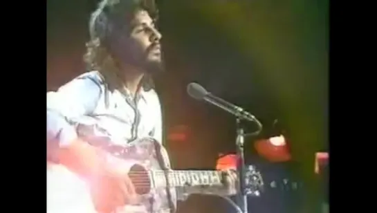 Cat Stevens “Wild World“