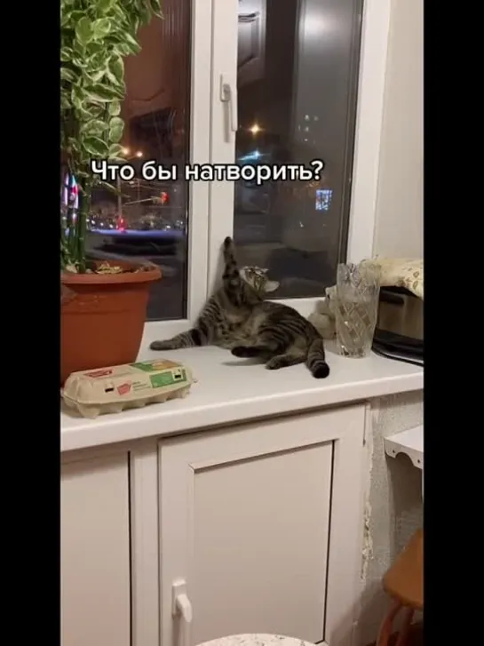 Что бы натворить...