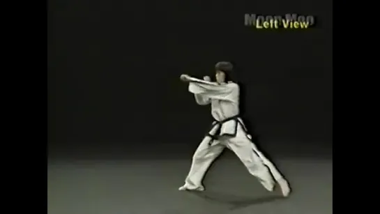 Taekwondo - Black Belt Legacy