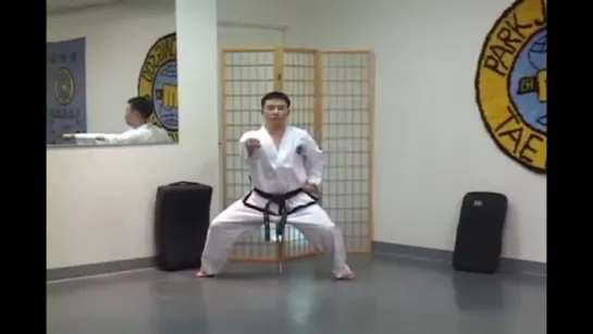 Grand Master Jong Soo Park   Mastering Taekwondo Under Balck Belt Patterns