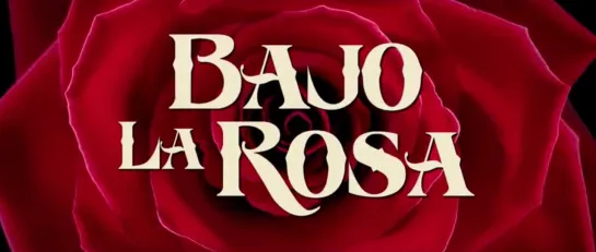 Под розой / Bajo la Rosa (2017, Испания, триллер)