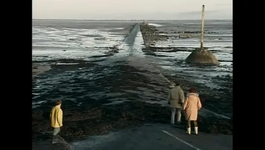 Аньес Варда - Собиратели и собирательница \ Agnès Varda - Les glaneurs et la glaneuse (2000,Франция)