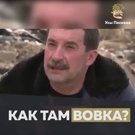 Как там Вовка