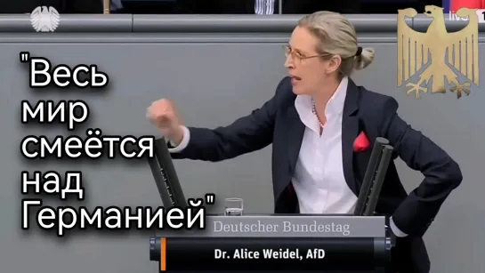 Алис Вайдель. Раскритиковала закон об отоплении (яндекс перевод)