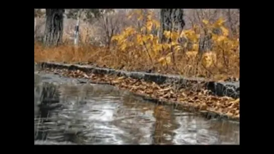 ВИА Лейся песня - Стучит дождик