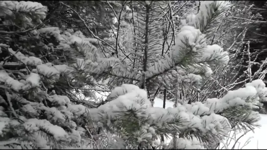 Муслим Магомаев - Приснилось мне...