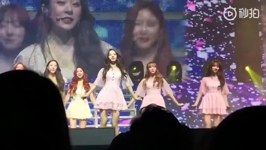 [Fancam] 190302 WJSN - I Wish at Secret Box Concert @ Bona