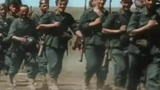 Wehrmacht Schwarzbraun ist die Haselnuss in Colour (New Quality)