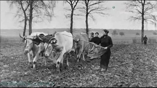 Discovery «Дневники великой войны» (04 серия) (Художественно-документальный, 2014)