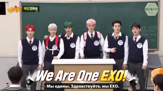 [РУСС. САБ] 191207 EXO @ Knowing Brothers ep. 208