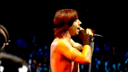 Red Hot Chilly Peppers – Californication