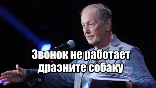 Михаил Задорнов - Звонок не работает-дразните собаку